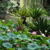 Core Strategies for Building and Maintaining a Sustainable Garden
