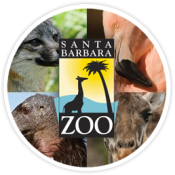 3 Critical Santa Barbara Zoo Conservation Projects