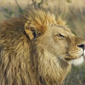 Educational Field Trips at the Santa Barbara Zoo