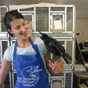 An Amazing Organization Dedicated to Caring for Wildlife