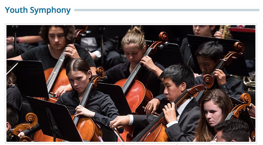 Teaching children the art of symphony music