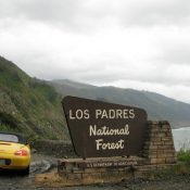 Los Padres Forest Watch: saving the forest in Santa Barbara